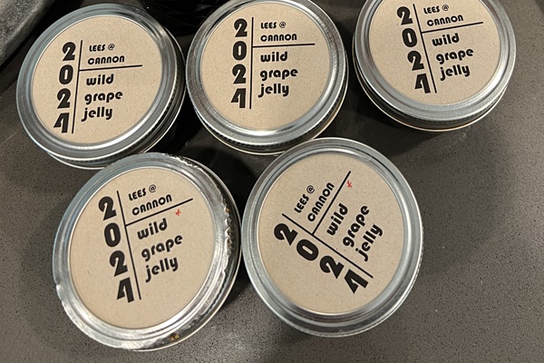 grapejelly grapejelly